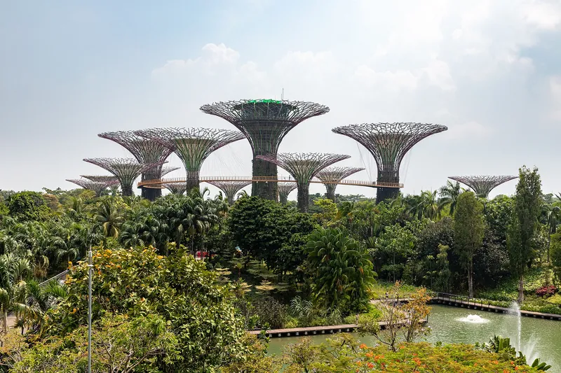 Supertree Grove at Gardens by the Bay in Singapore