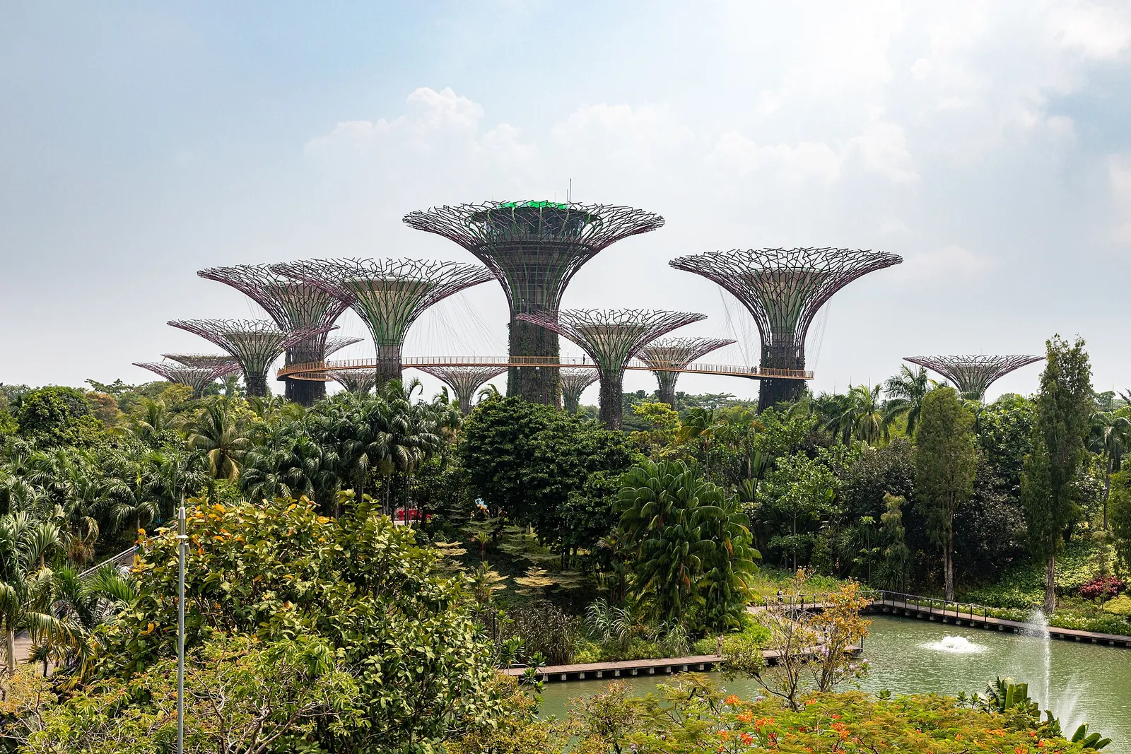 Supertree Grove at Gardens by the Bay in Singapore